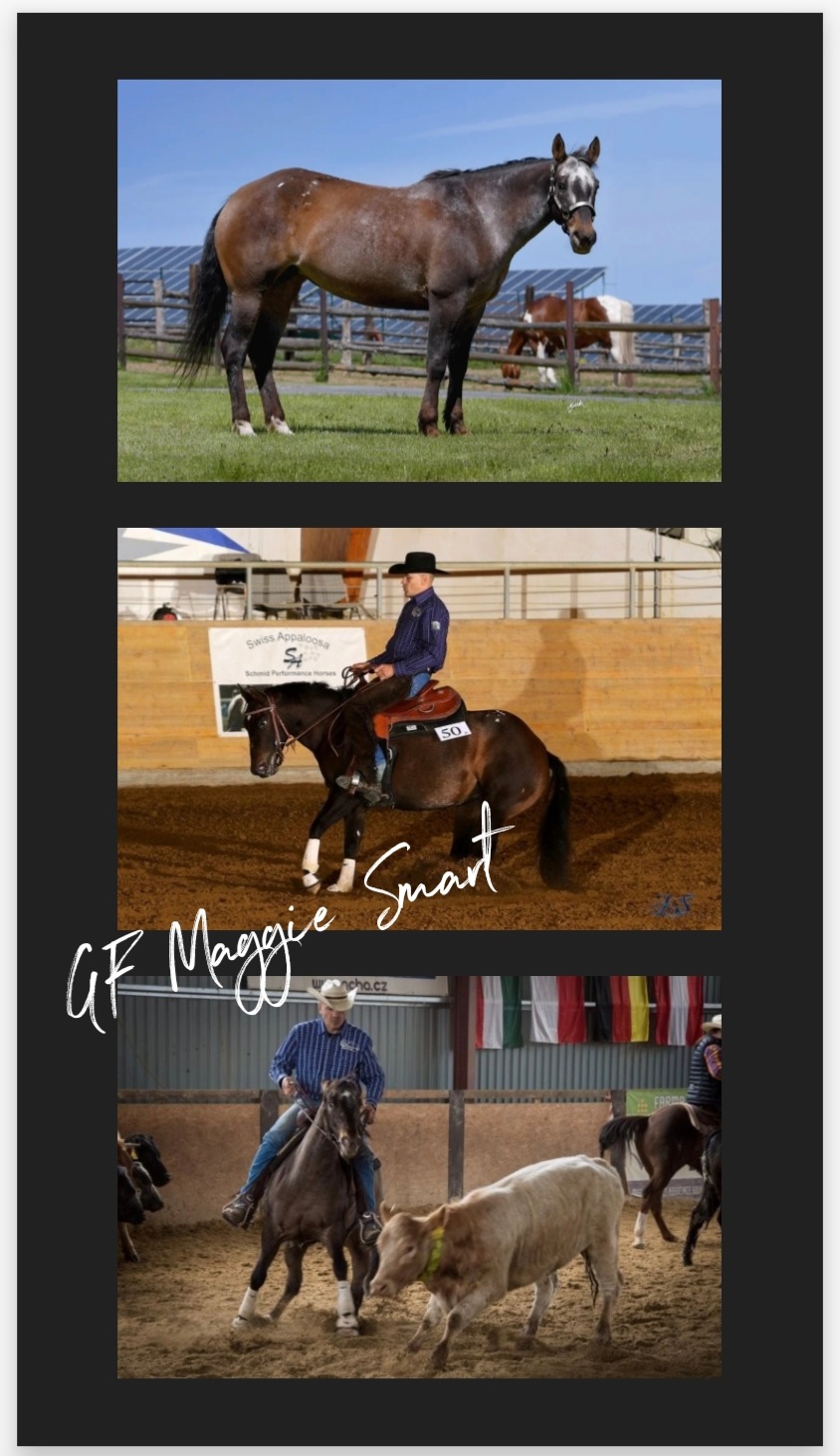 2023 Profil GF MAGGIE SMART