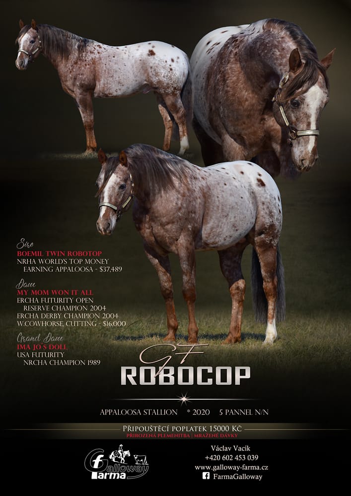 2025 Robocop plakat